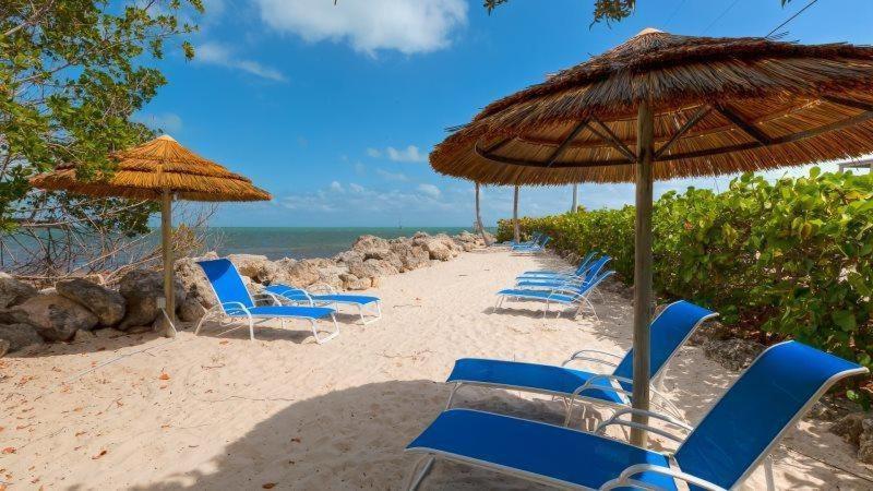 Licensed Mgr - Luxury Vip Penthouse Suite - Offers Resorts Best Panoramic Ocean Views! Key Largo Zewnętrze zdjęcie